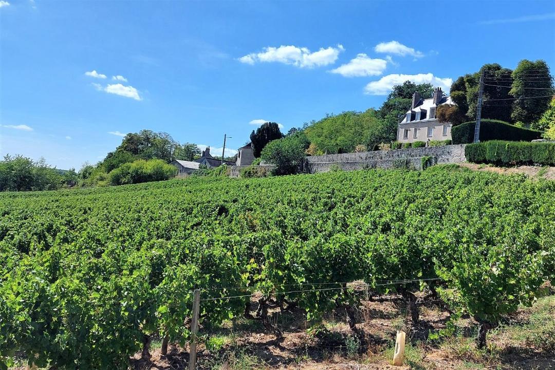 Apartamento Le Balzac / Colbert - Bord De Loire Tours Exterior foto